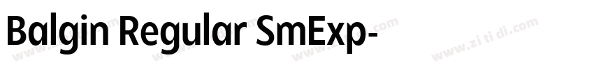 Balgin Regular SmExp字体转换